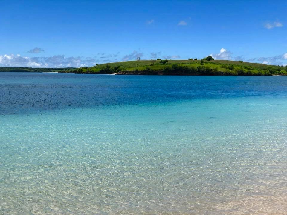 land pink beach
